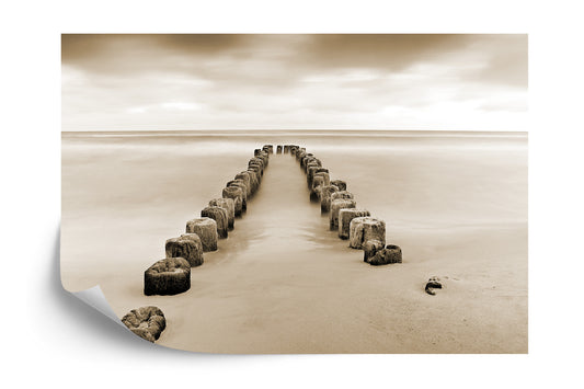 Photomural Ebb And Flow Sepia Iq-1223-B