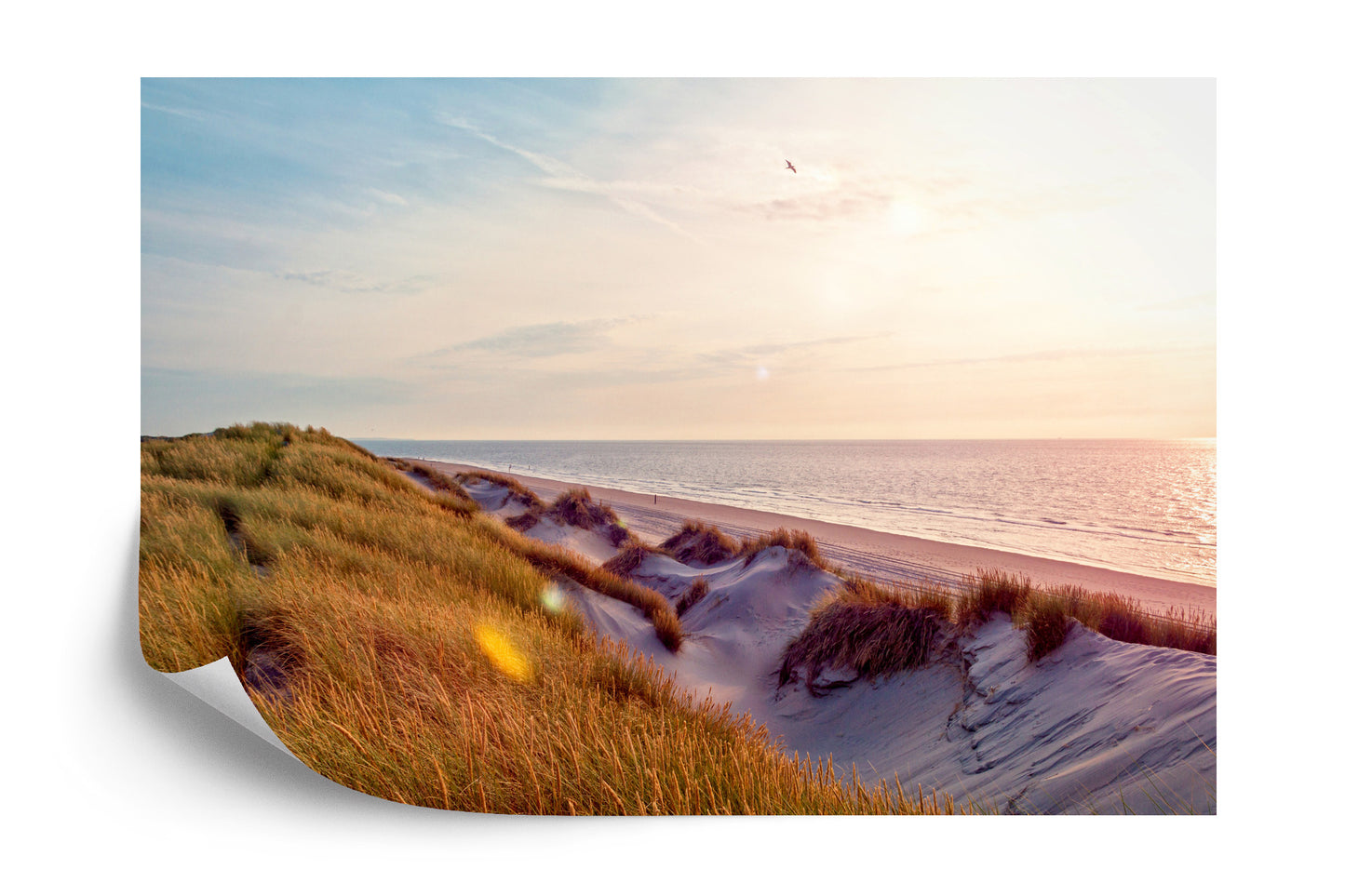 Photomural Dune Sunrise Iq-1211-A