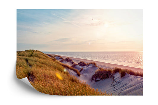 Photomural Dune Sunrise Iq-1211-A