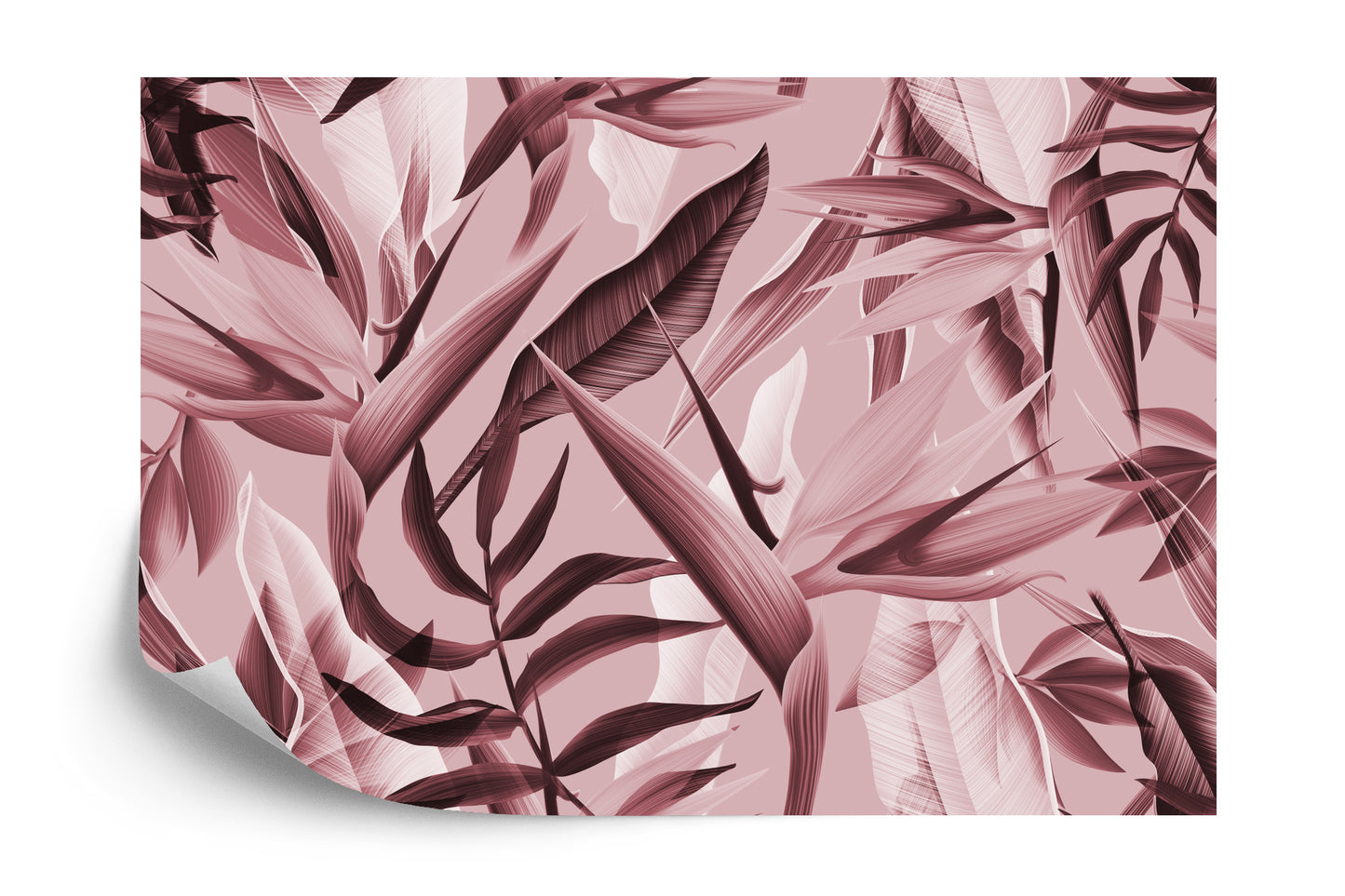 Photomural Tropicalia Pink Iq-1246-F