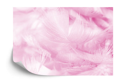 Photomural Feathers In Pink Iq-1251-E