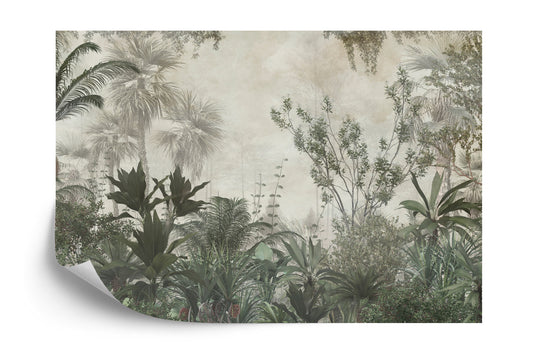 Photomural Tropical Trees And Leaves Wallpaper Design In Foggy Forest - 3D