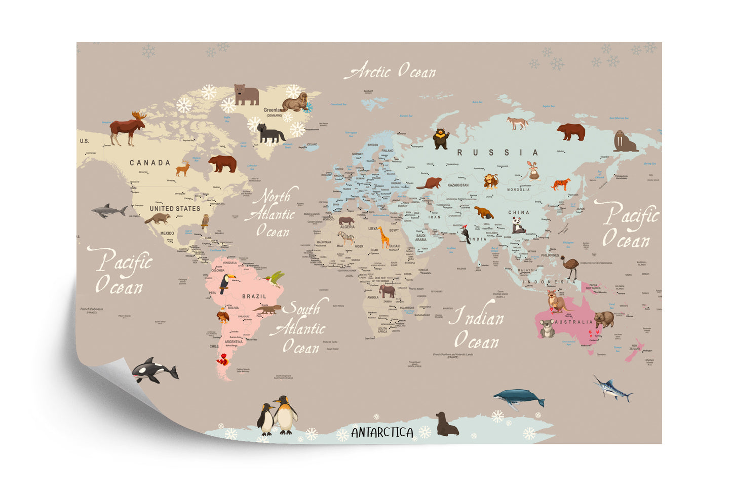 Photomural Animals World Map For Kids Wallpaper Design