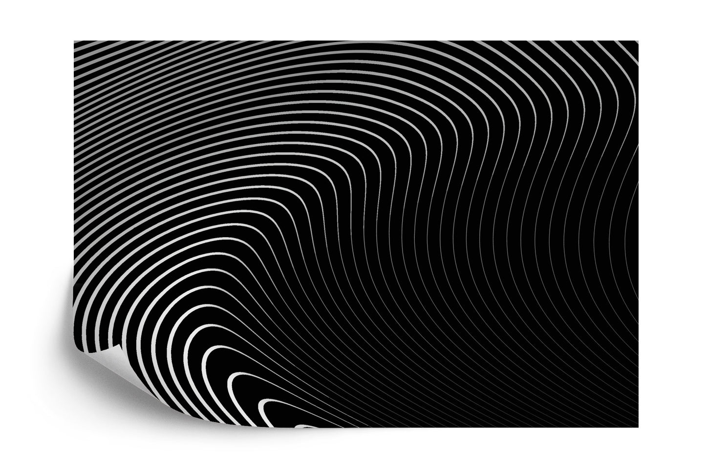 Photomural Of The Gray Pattern Of Lines . Eps10.