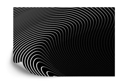 Photomural Of The Gray Pattern Of Lines . Eps10.