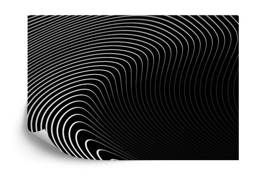 Photomural Of The Gray Pattern Of Lines . Eps10.