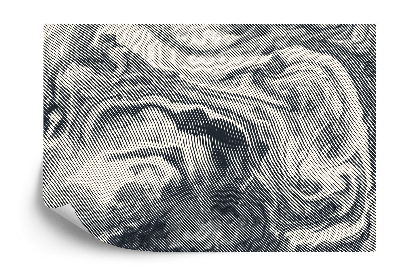 Photomural Abstract Halftone Background, Retro Engraving Style.