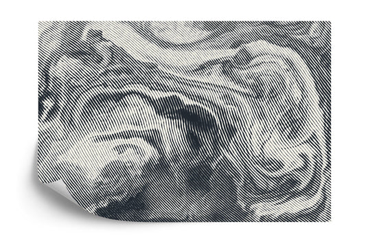 Photomural Abstract Halftone Background, Retro Engraving Style.