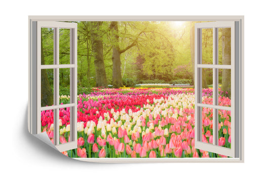 Photomural Window With Beautiful Spring Tulips Flowers Garden In Netherlands.