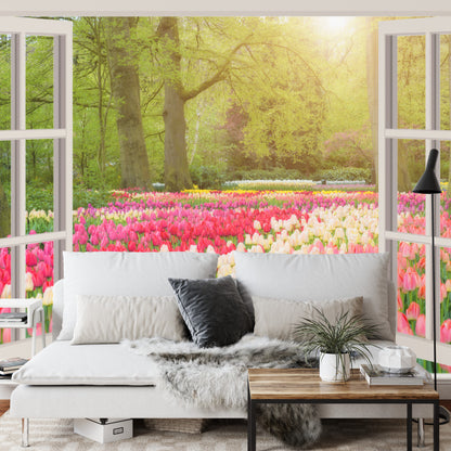 Photomural Window With Beautiful Spring Tulips Flowers Garden In Netherlands.