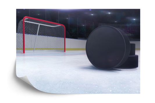 Photomural Hockey Pucks