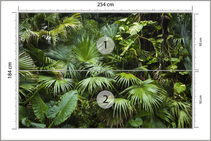 Photomural Beautiful Palm Leaves In A Tropical Jungle