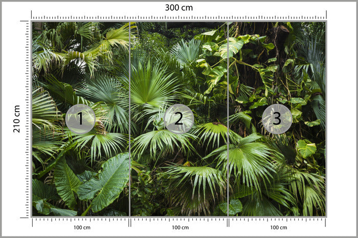 Photomural Beautiful Palm Leaves In A Tropical Jungle