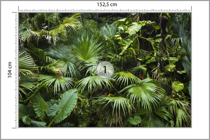 Photomural Beautiful Palm Leaves In A Tropical Jungle