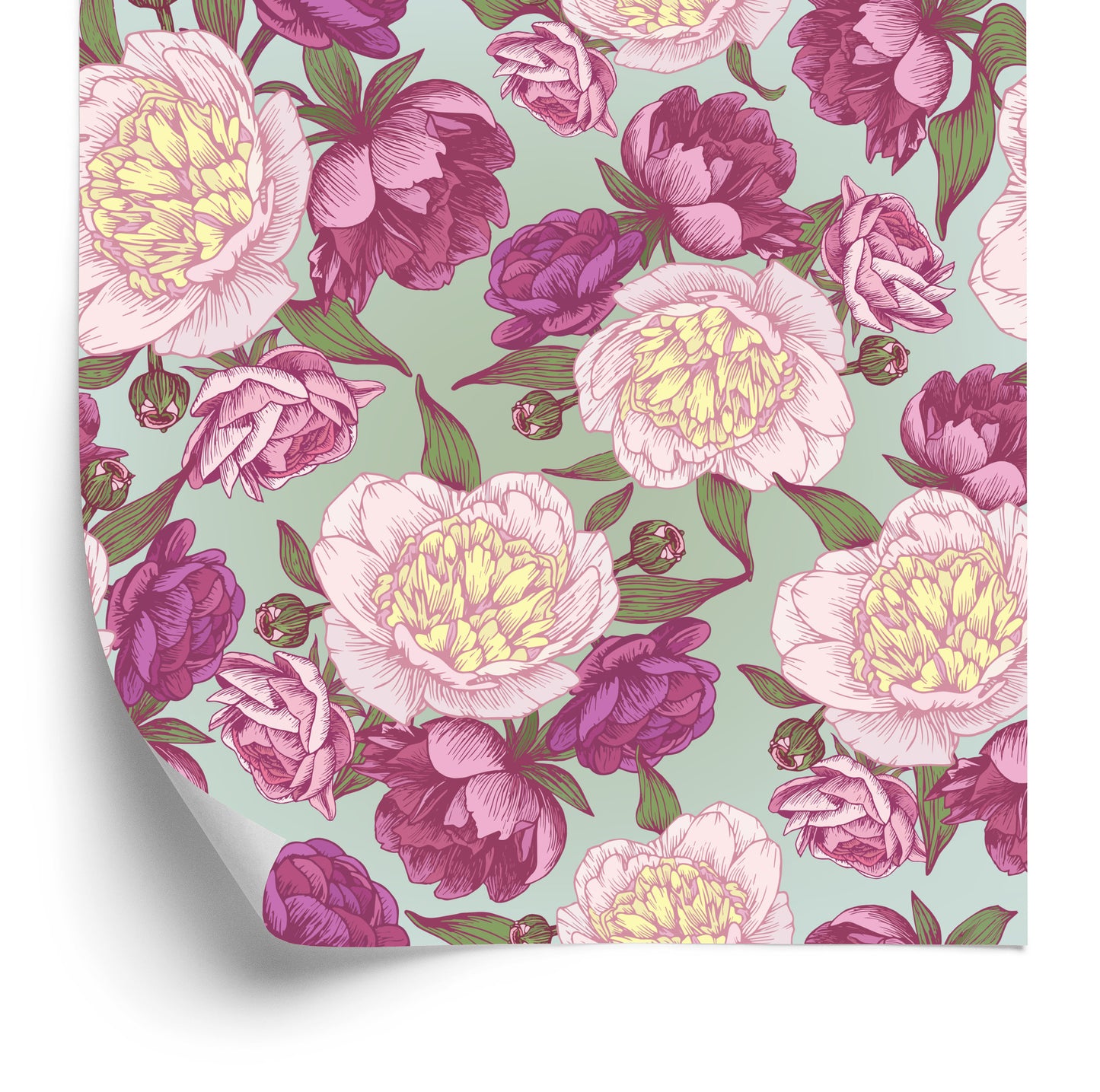 Wallpaper Beautiful Peonies In Shades Of Pink