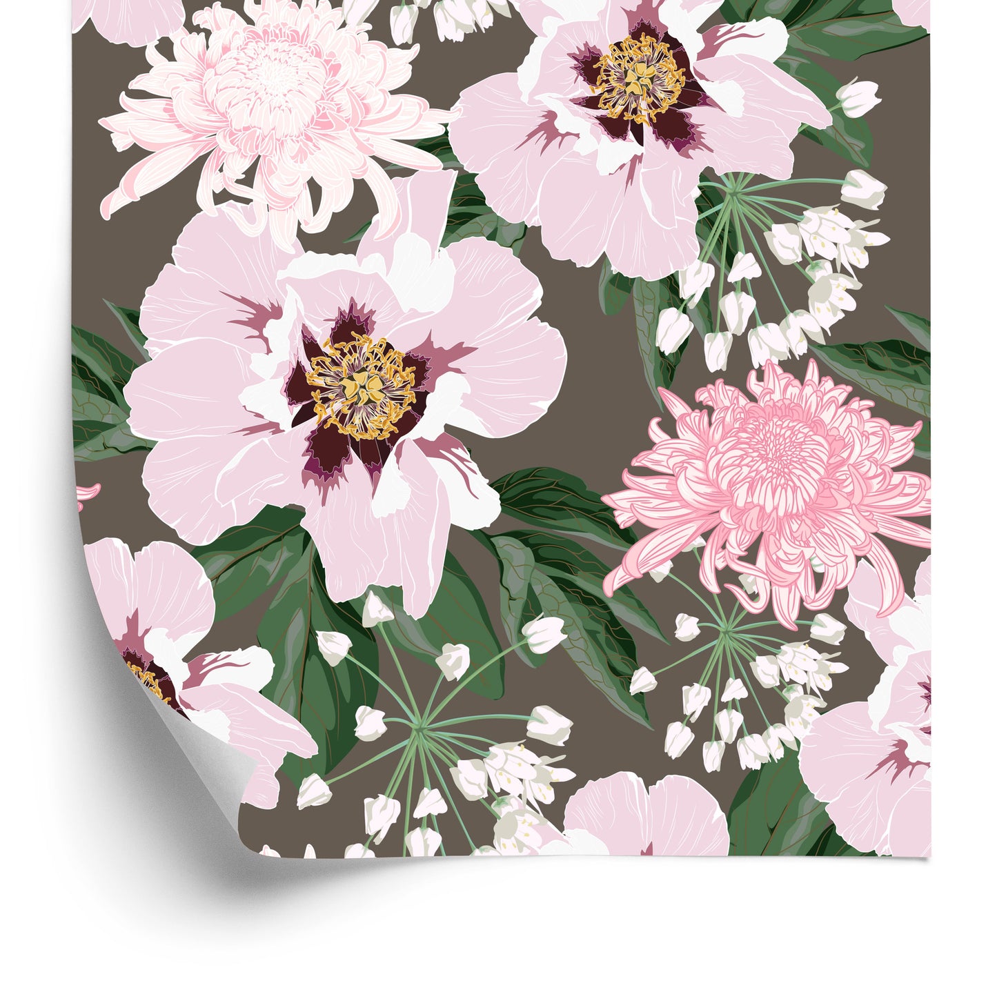 Wallpaper Beautiful Chrysanthemums And Peonies