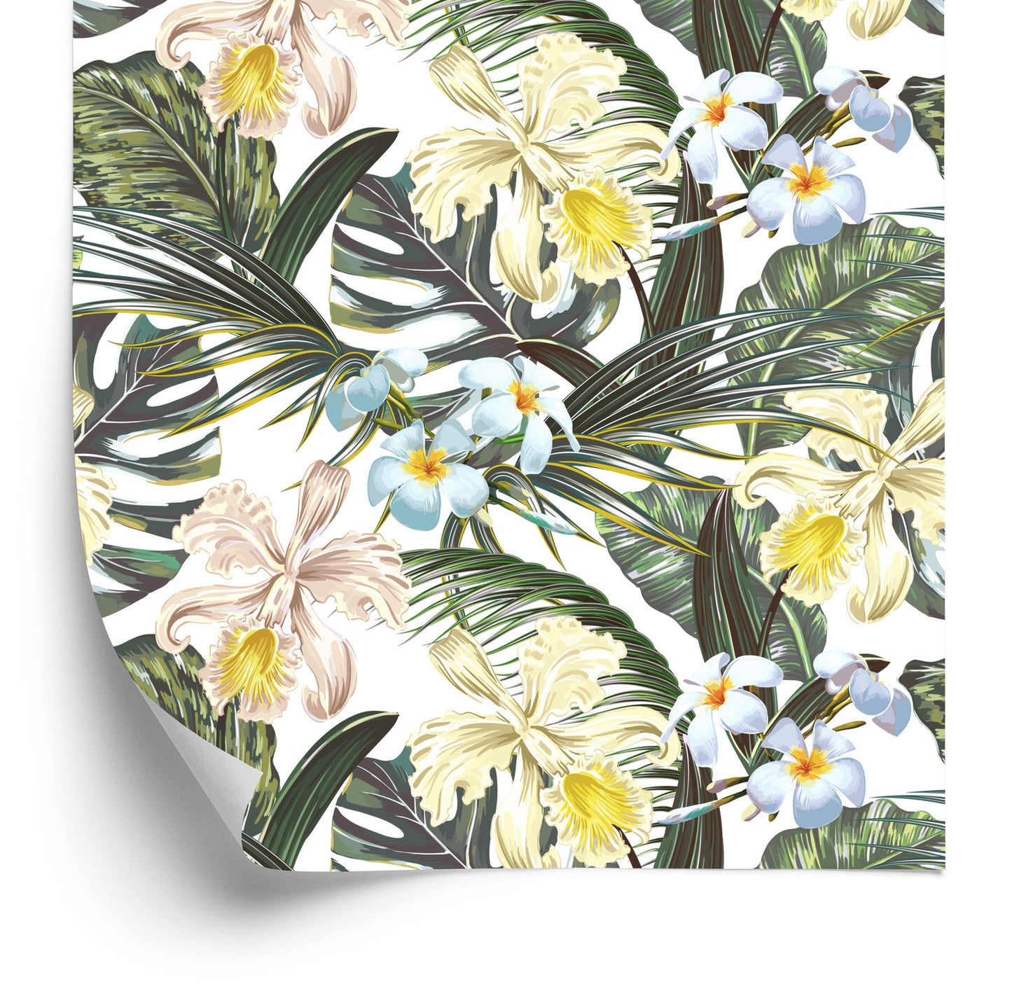 Wallpaper Exotic Leaves Flowers