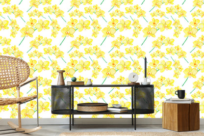 Wallpaper Flowers, Plants, Orchids, Nature, For Living Room