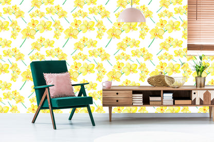 Wallpaper Flowers, Plants, Orchids, Nature, For Living Room