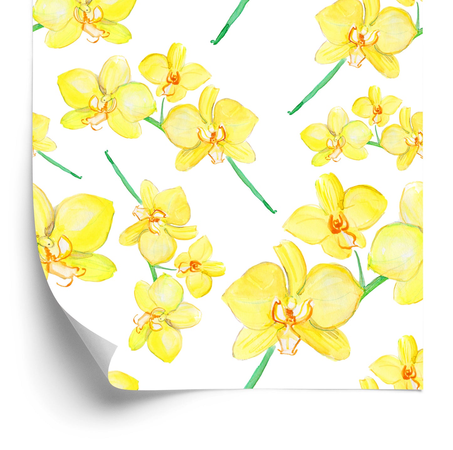 Wallpaper Flowers, Plants, Orchids, Nature, For Living Room