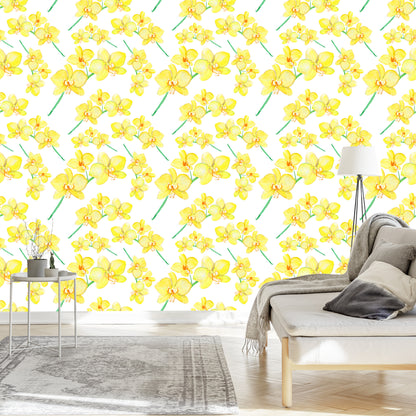 Wallpaper Flowers, Plants, Orchids, Nature, For Living Room