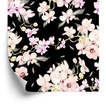 Wallpaper Flowers. Nature. Nature. Nature