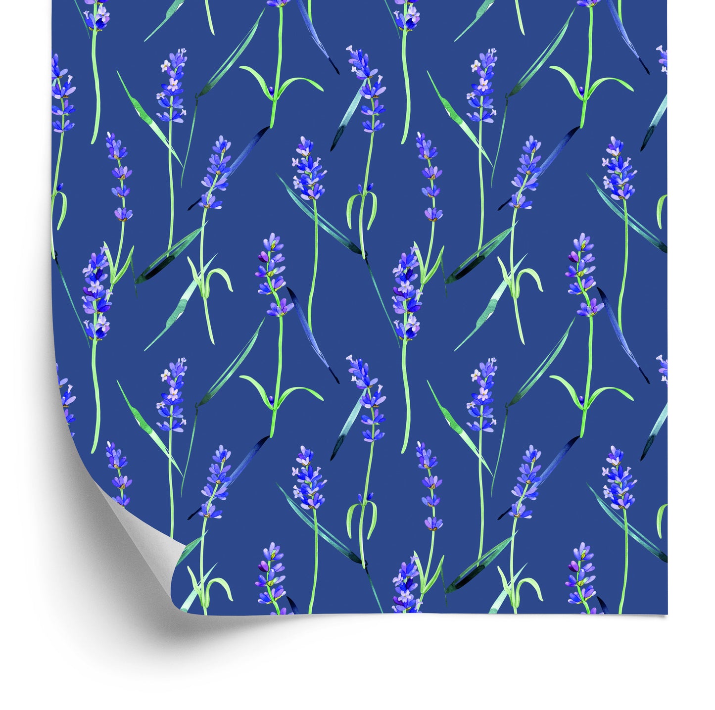 Wallpaper Lavender Flowers