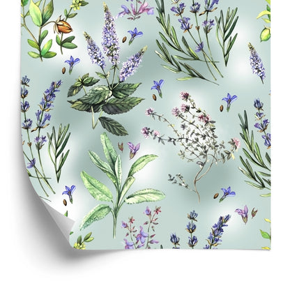 Wallpaper The Nature Of Lavender Flowers