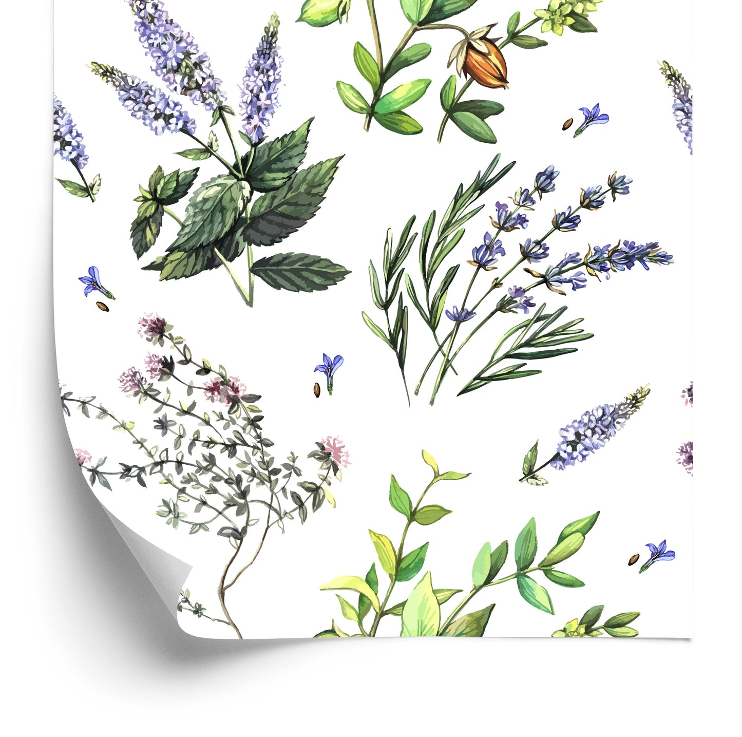 Wallpaper Lavender Flowers