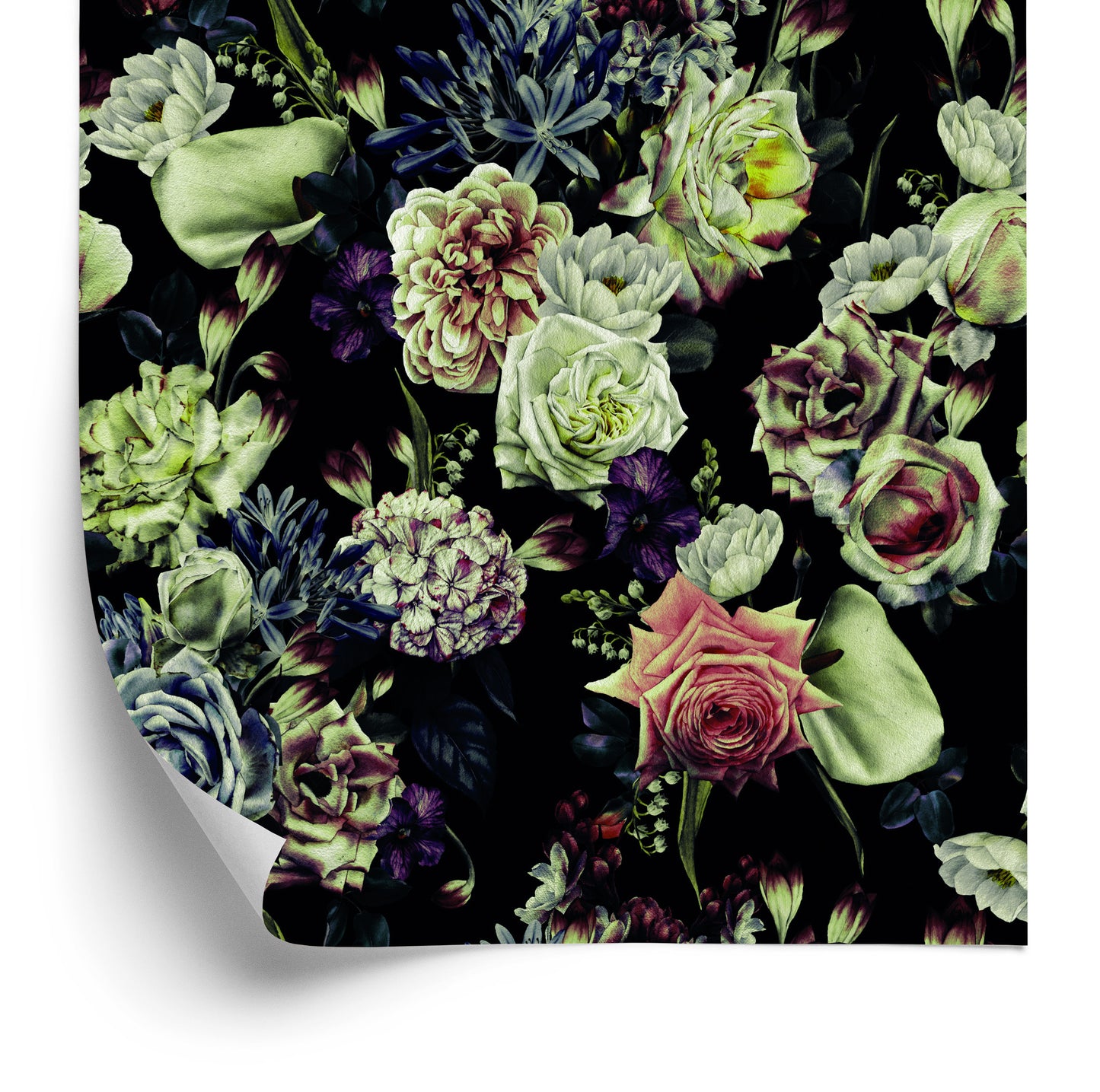 Wallpaper Roses In Dark Colors