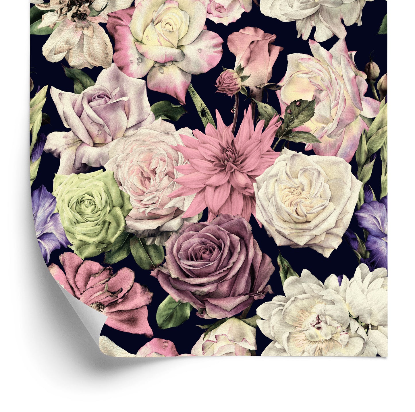 Wallpaper Roses, Tulips