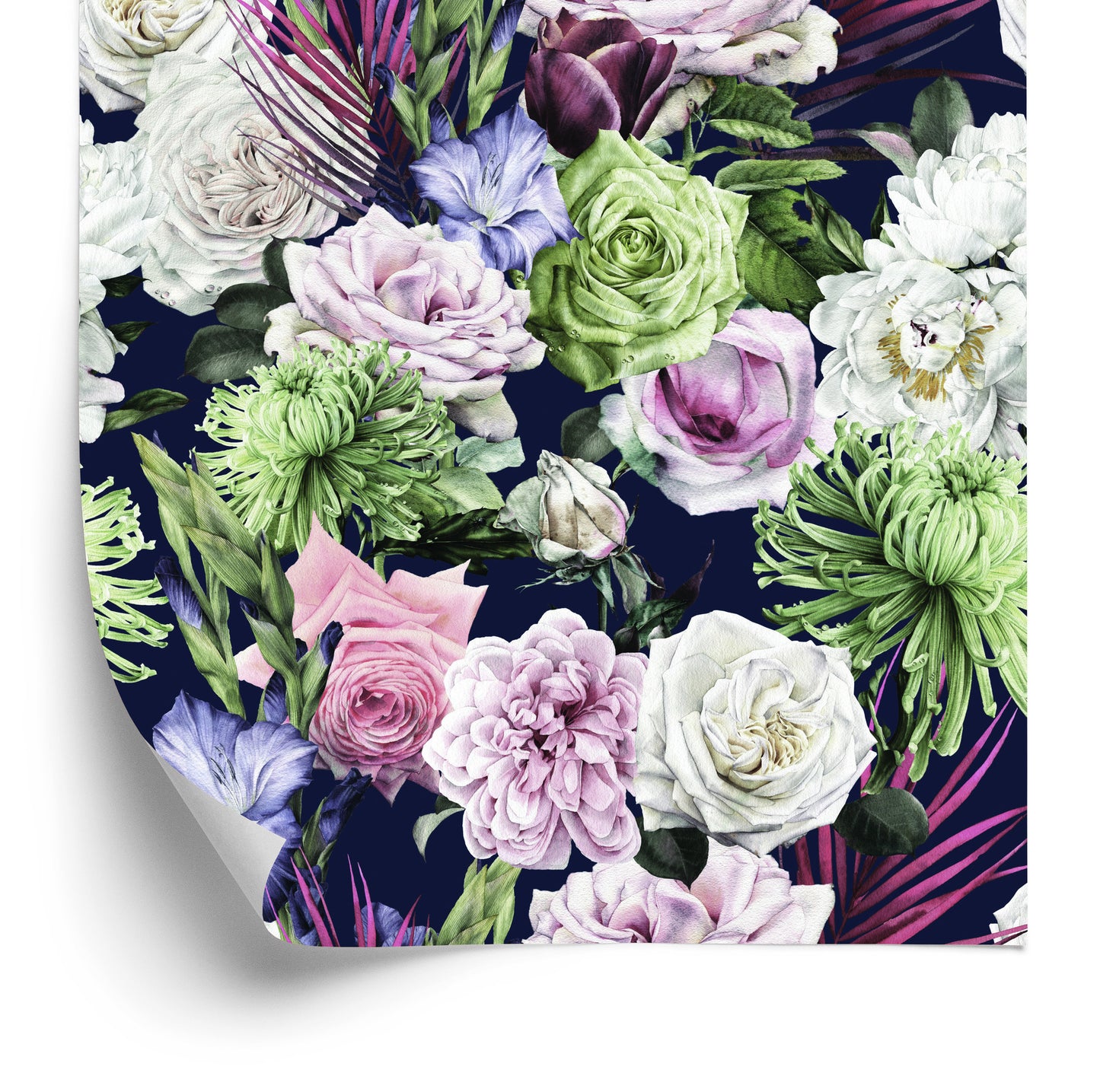 Wallpaper Nature Plants Roses