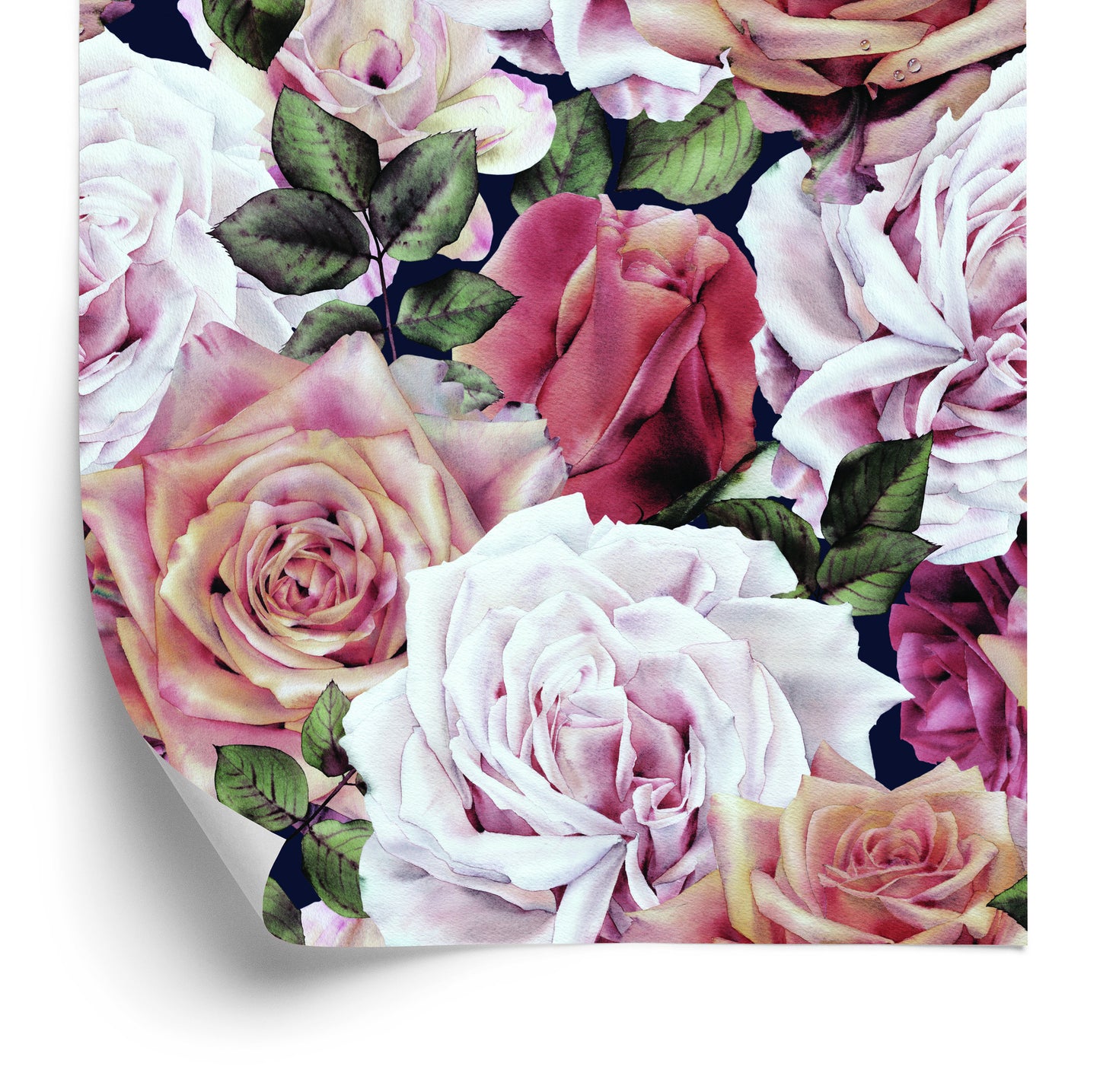 Wallpaper Beautiful English Roses