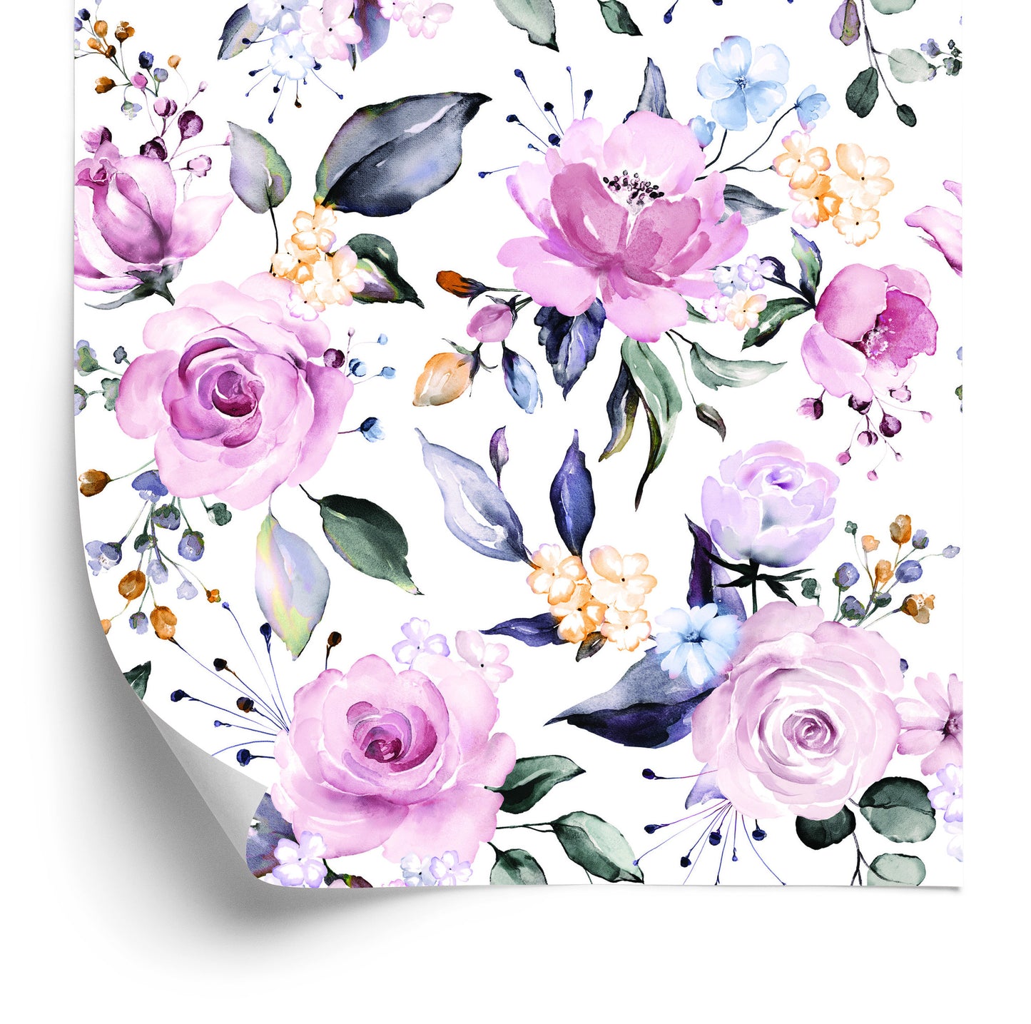 Wallpaper Colorful Nature Roses