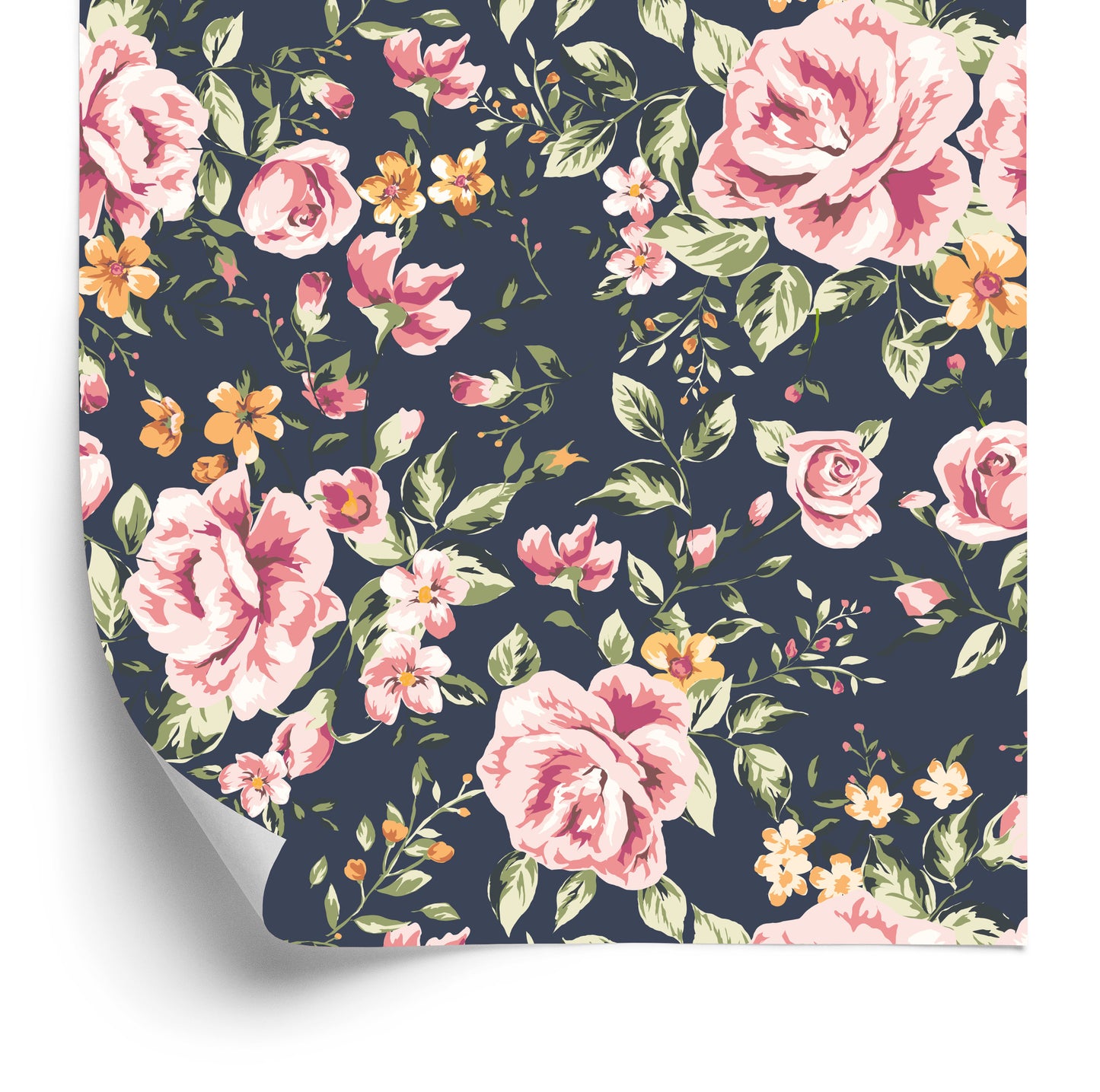 Wallpaper Roses Orange Flowers