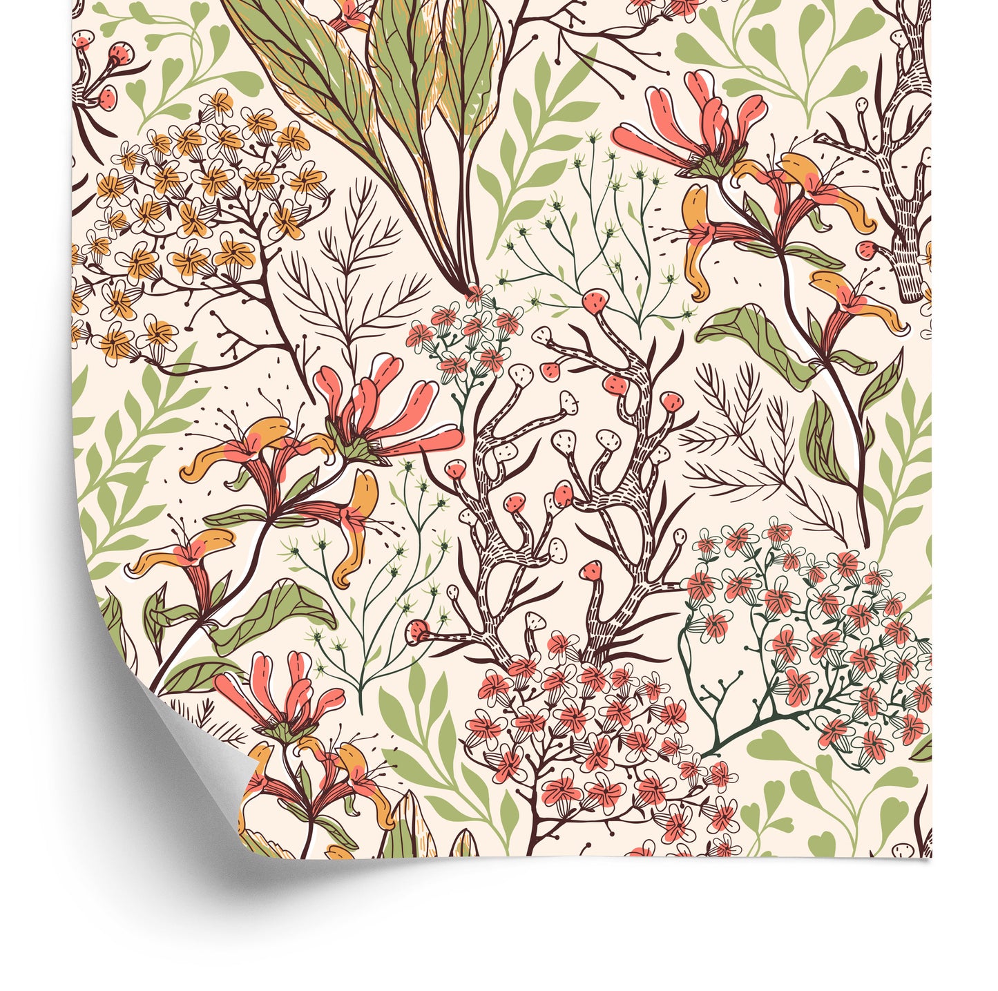Wallpaper Exotic Flowers