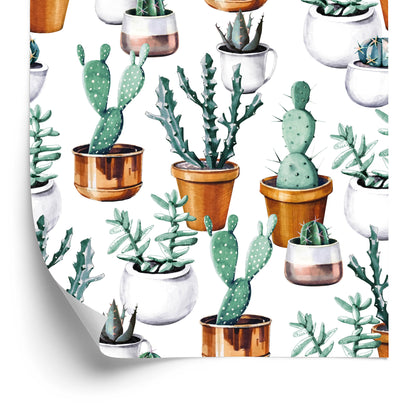 Wallpaper Painted Cacti In Pots