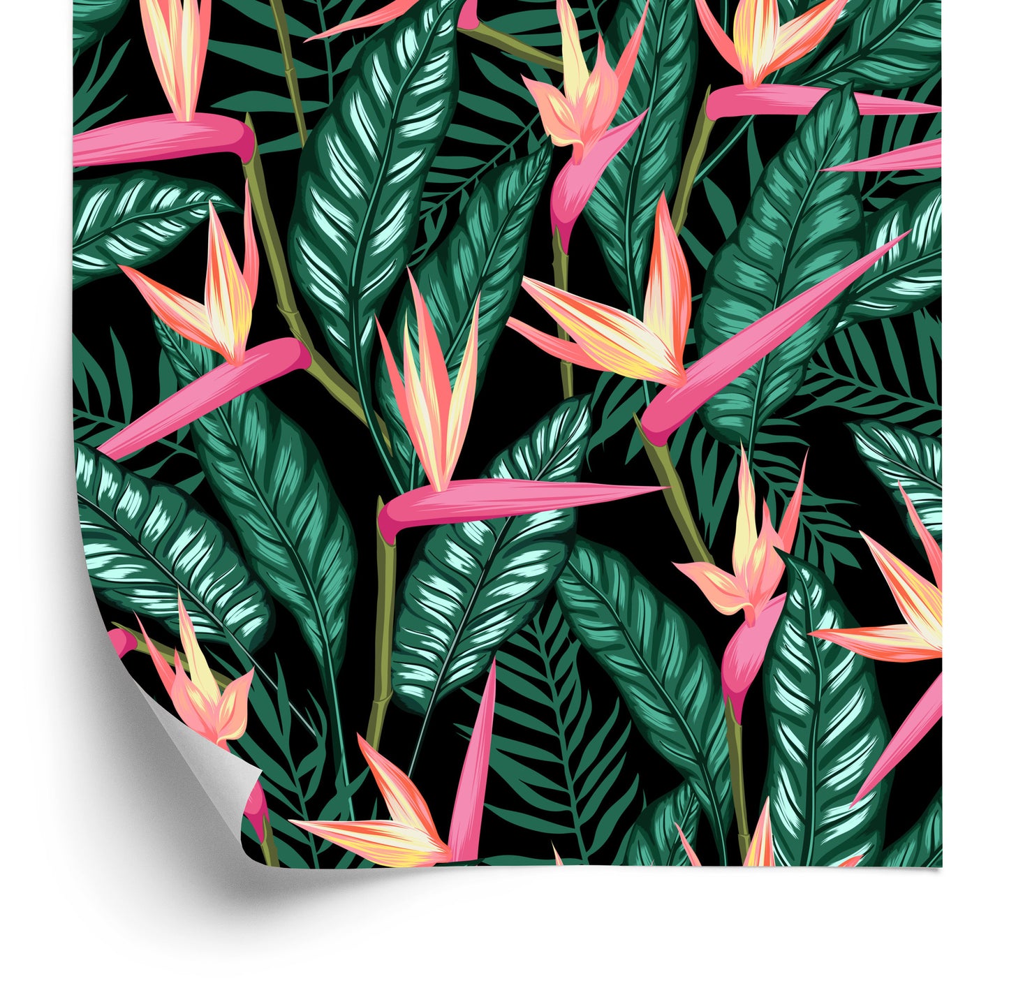 Wallpaper Tropical Flowers With Palm Leaves