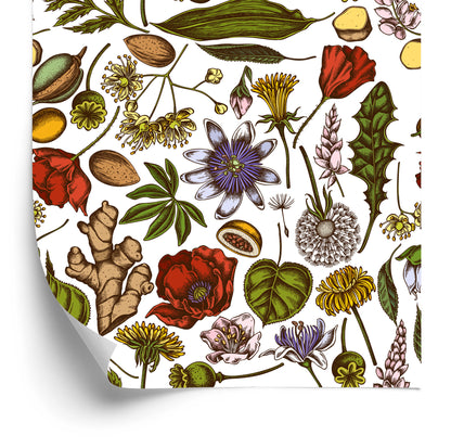 Wallpaper Field Plants With Herbs And Spices