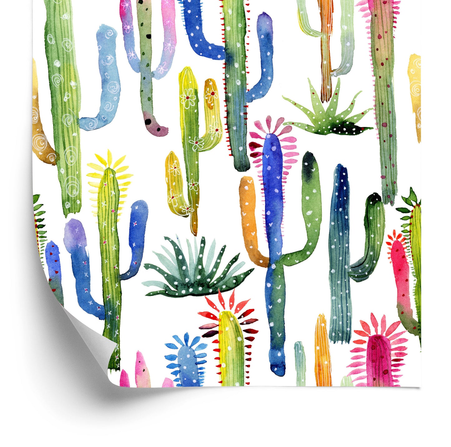 Wallpaper Colorful Cacti