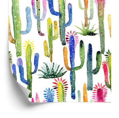 Wallpaper Colorful Cacti