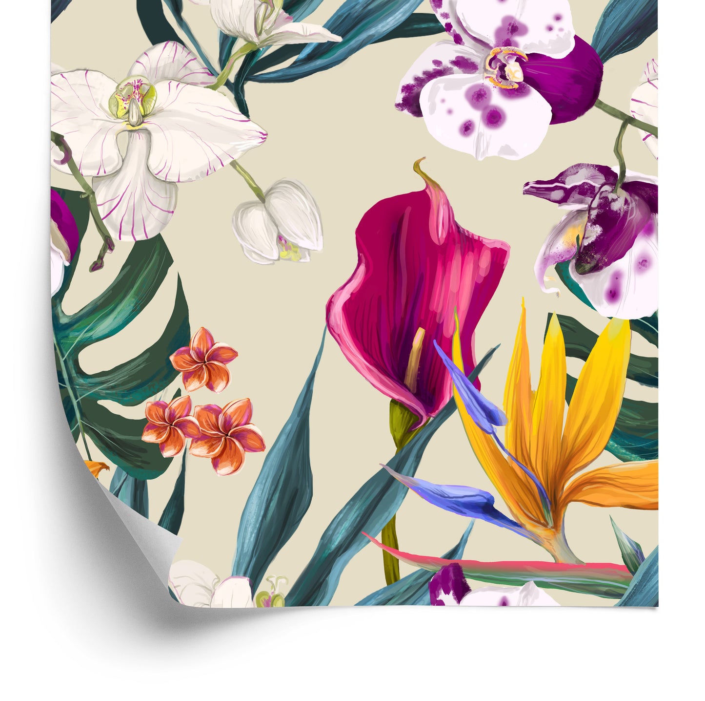 Wallpaper Flowers Of Z