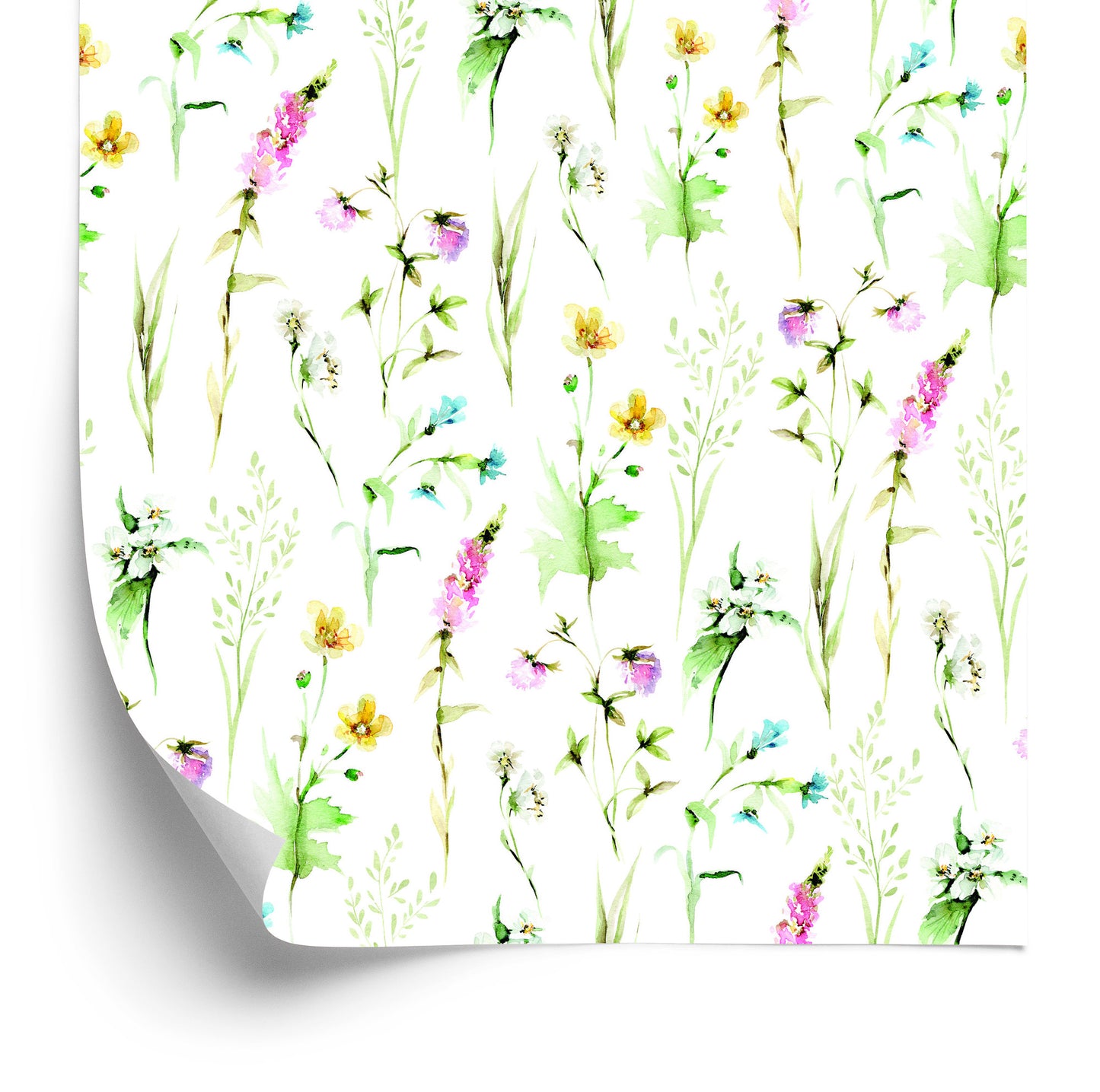 Wallpaper Wild Field Plants