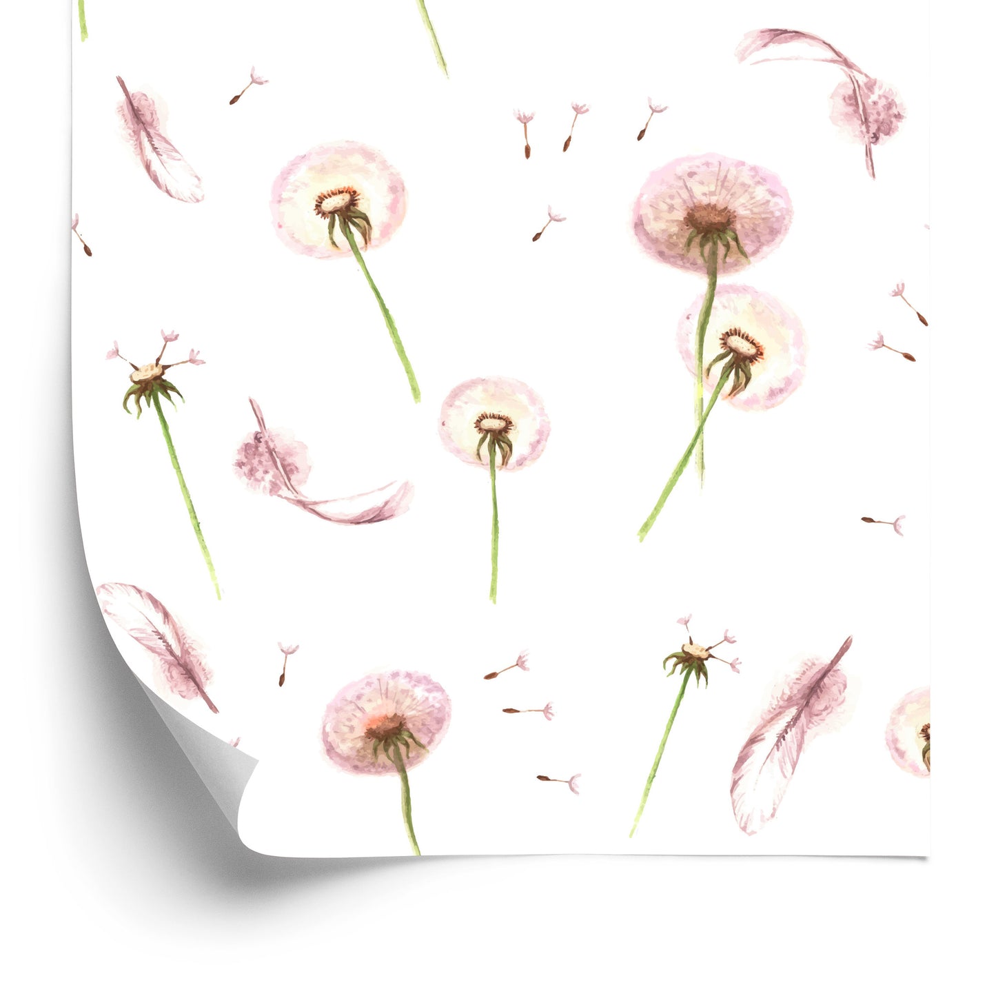 Wallpaper Dandelion With Feathers