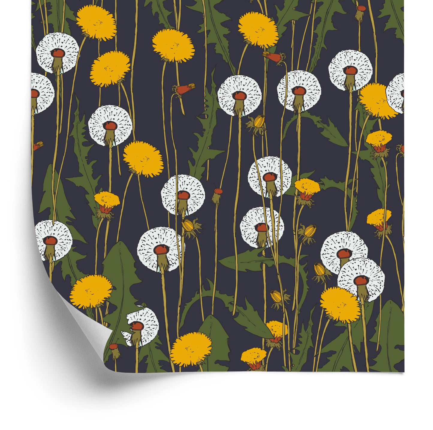 Wallpaper Blooming Dandelions