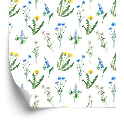 Wallpaper Daisy With Wild Flowers