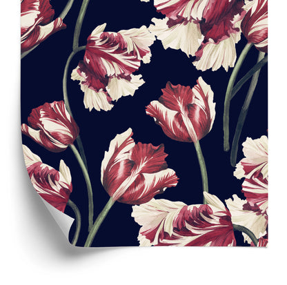 Wallpaper Red And White Tulips