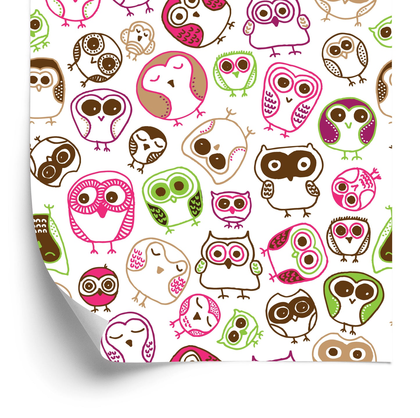Wallpaper For Girls' Room Colorful Owls Birds