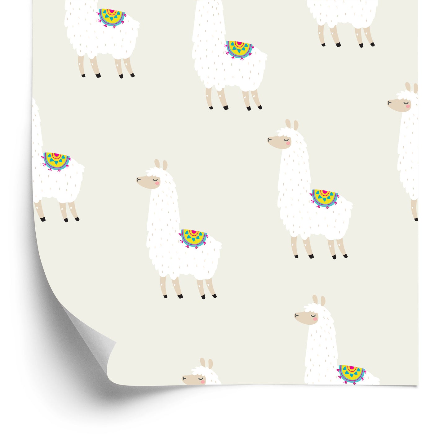 Wallpaper The Lama Animals For Boy's Room