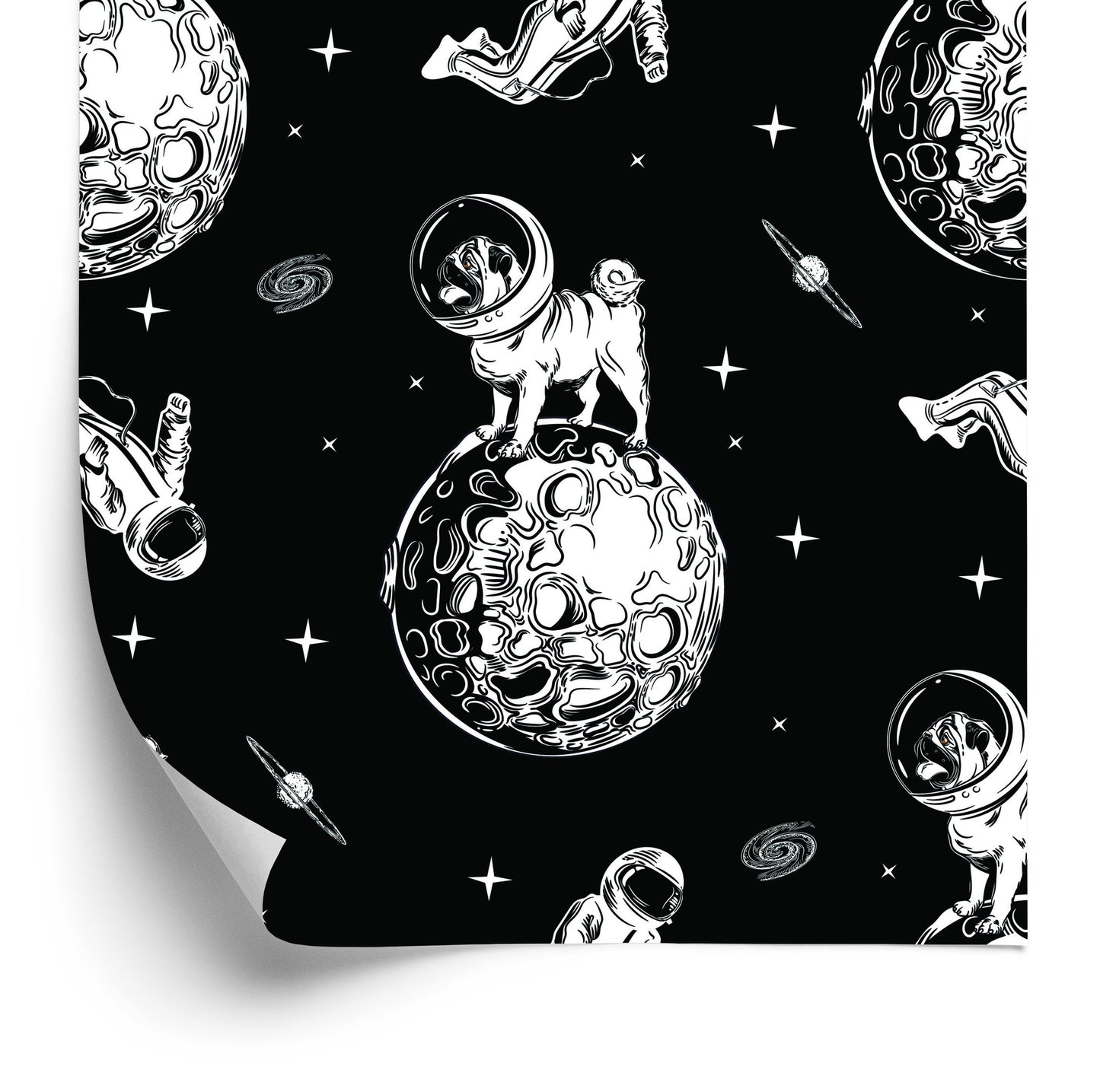 Wallpaper Dogs In Space